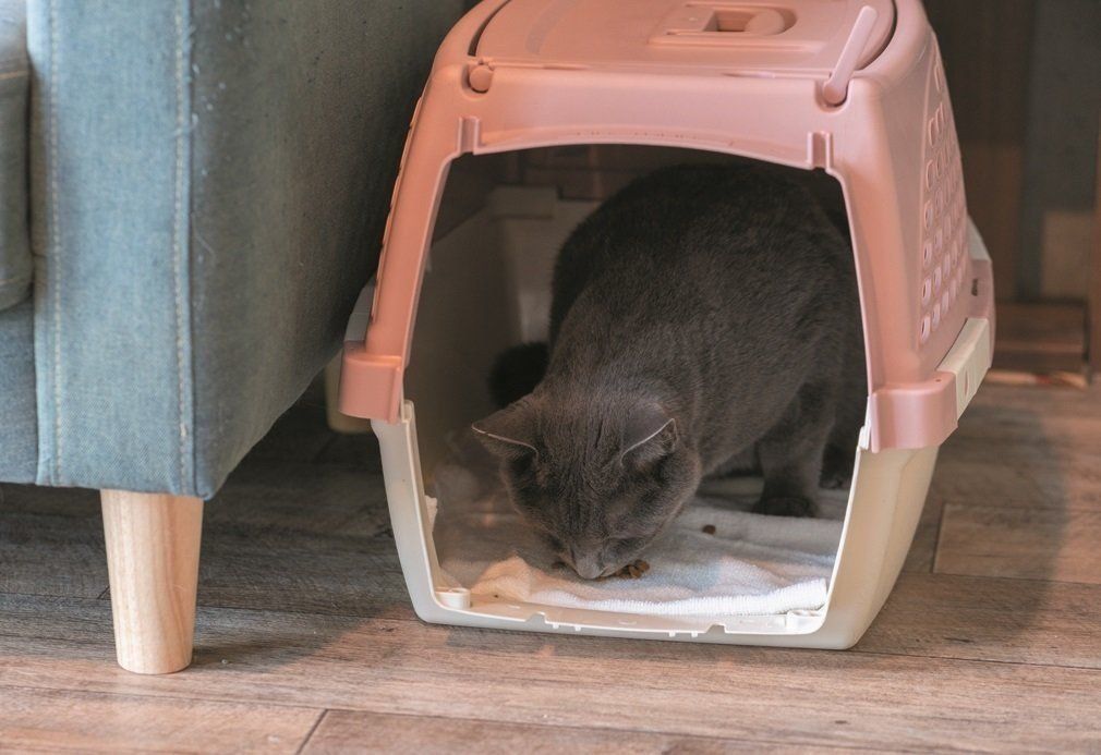 撮影／石原さくら