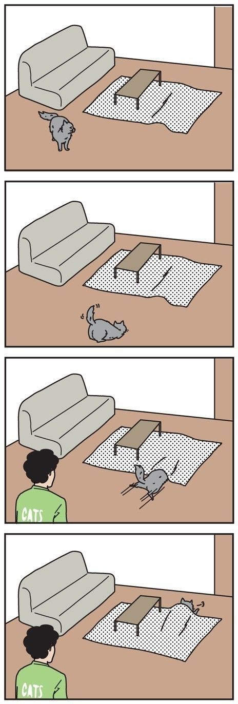 「男の猫道」vol.39