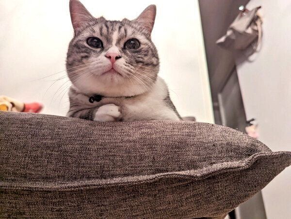 まったりするゆずさん