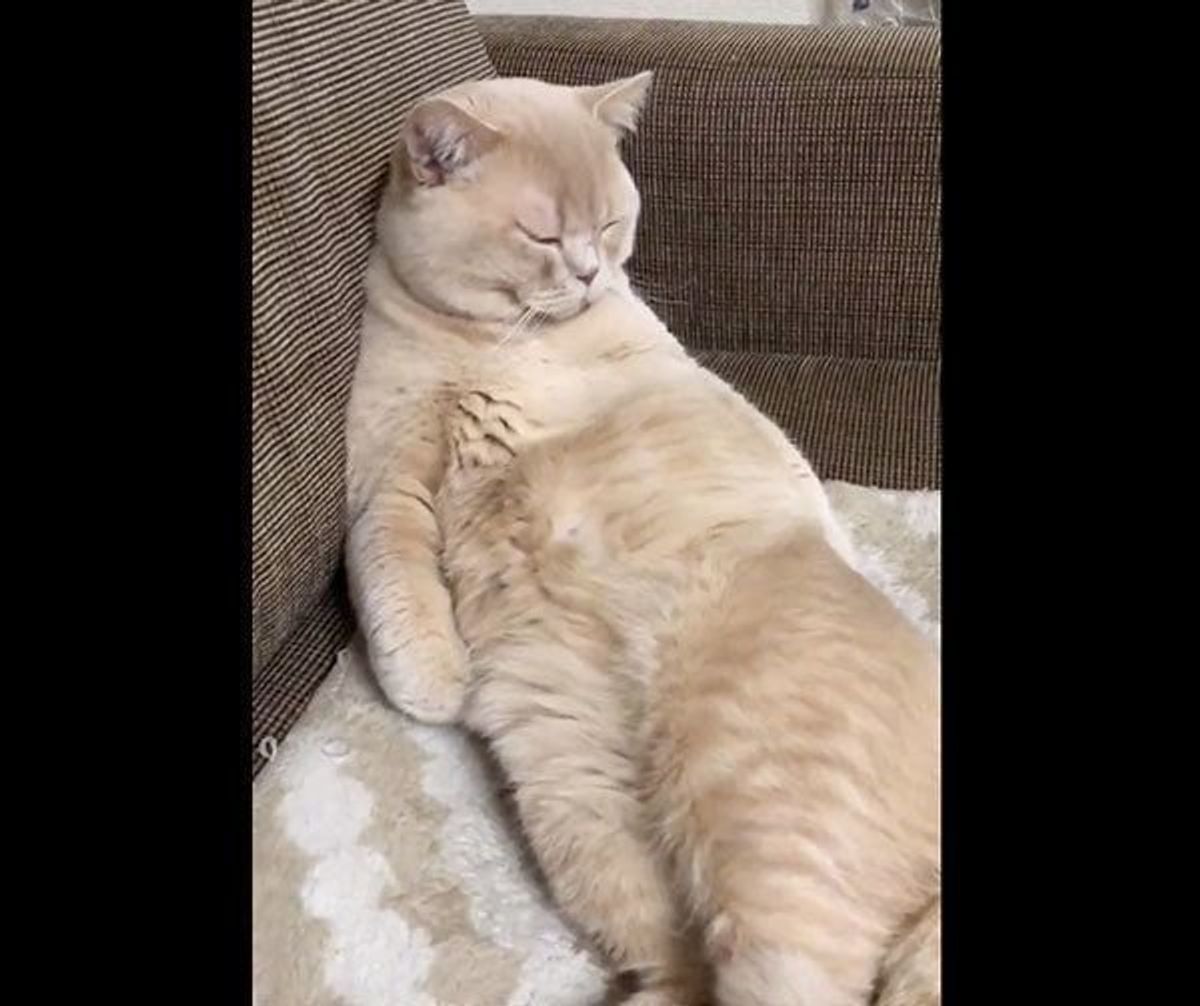 Qkzub5ndjphc5m Qkzub5ndjphc5m