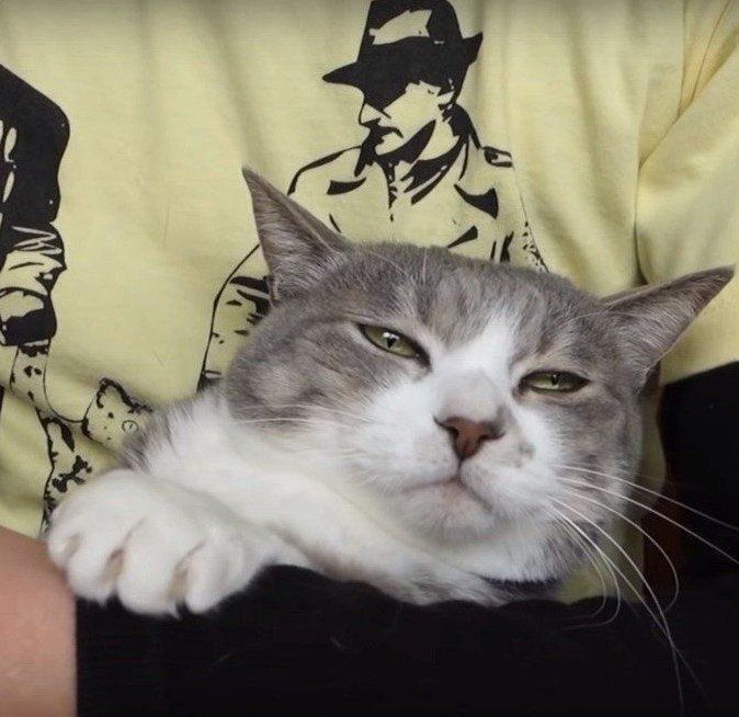 複雑そうな表情のモアレちゃん