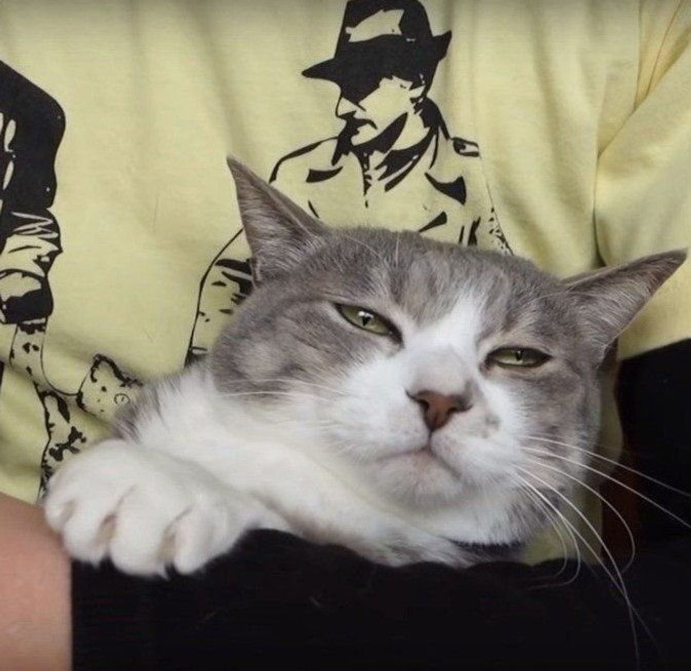 爪切り頑張ったね 思わず よしよし したくなる2匹の猫 ねこのきもちweb Magazine 爪切り頑張ったね 思わず よしよし したくなる2匹の猫 ねこのきもちweb Magazine