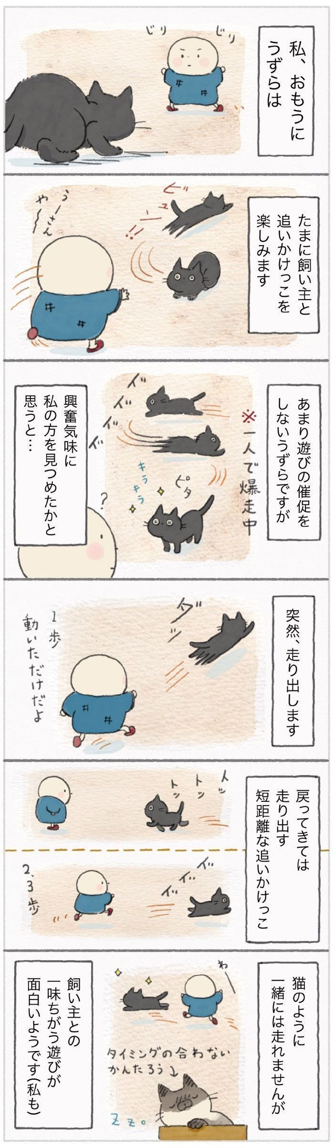 近寄ってきては突然走り出す 猫の だるまさんがころんだ は一味ちがう ねこ連れ草 115話め ねこのきもちweb Magazine 近寄ってきては突然走り出す 猫の だるまさんがころんだ は一味ちがう ねこ連れ草 115話め ねこのきもちweb Magazine
