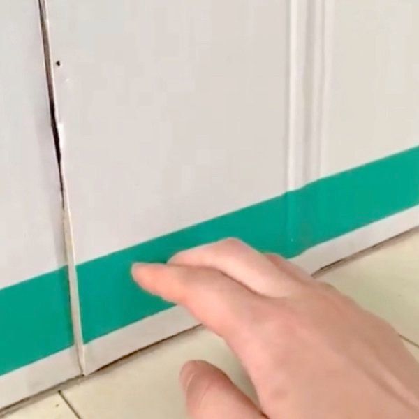 ダンボールハウスで遊ぶマンチカン