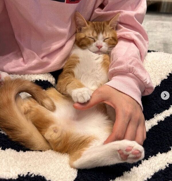 くつろぐみーくん