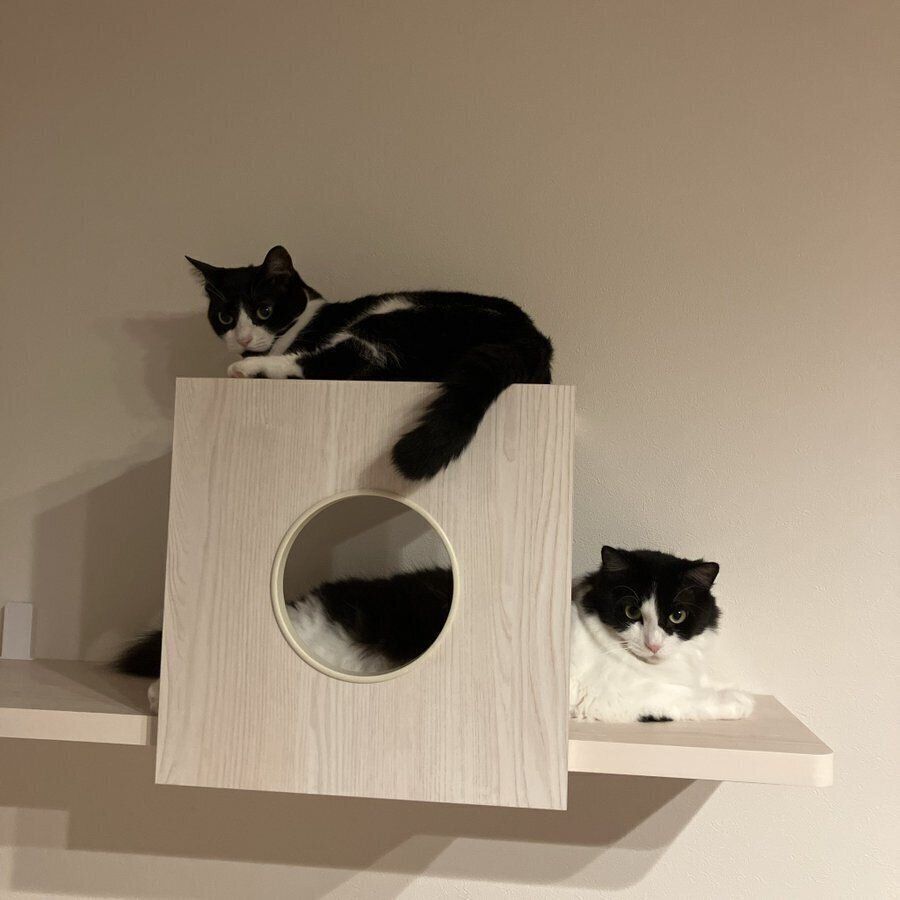 お迎えから4カ月頃