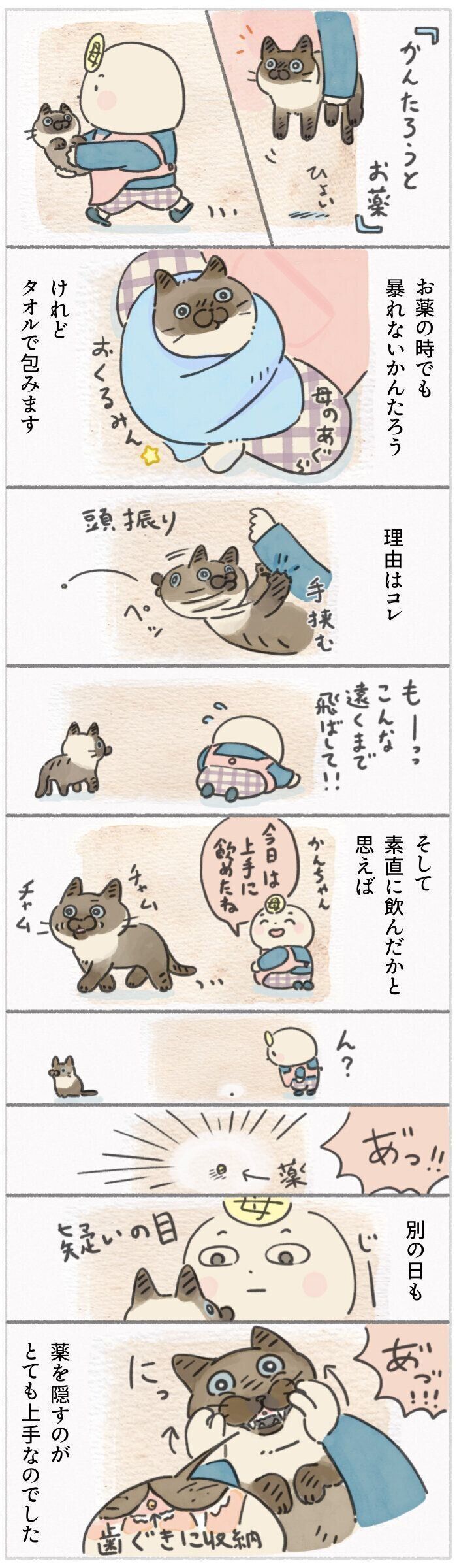 「ねこ連れ草」311話め