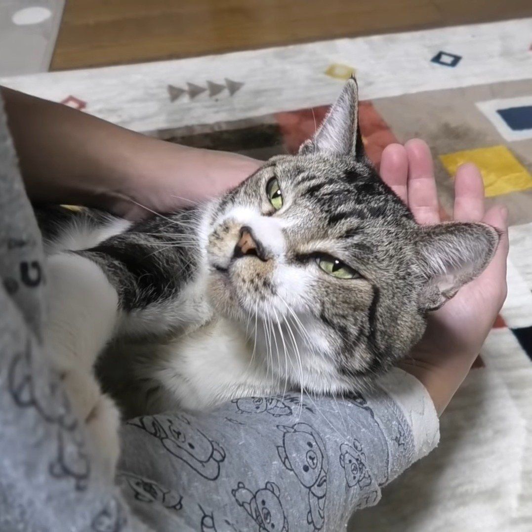 幸せそうなリキちゃん