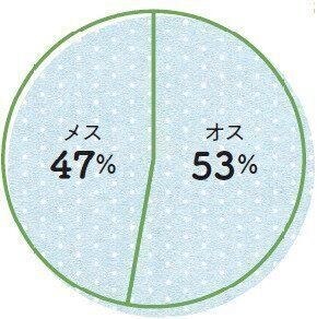ねこのきもち2021年8月号「想像以上に身近な病気　寄生虫症の実態」