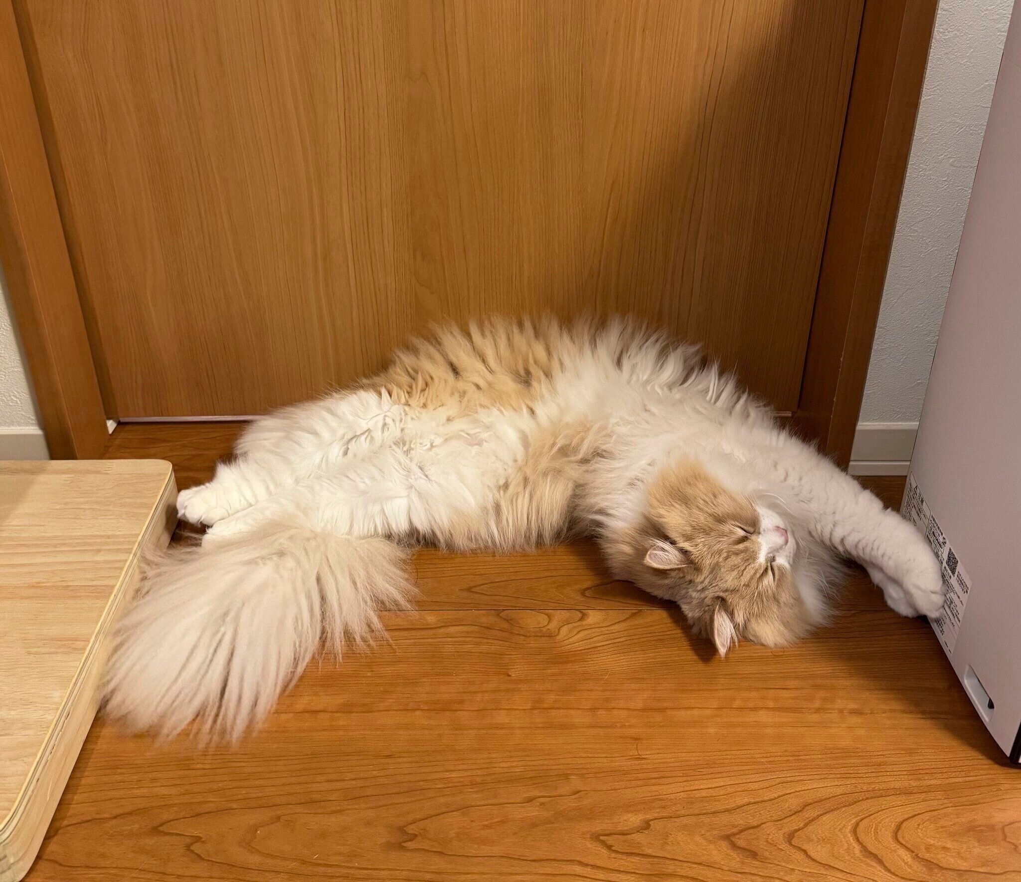 リラックスしている様子が伝わってくる1枚