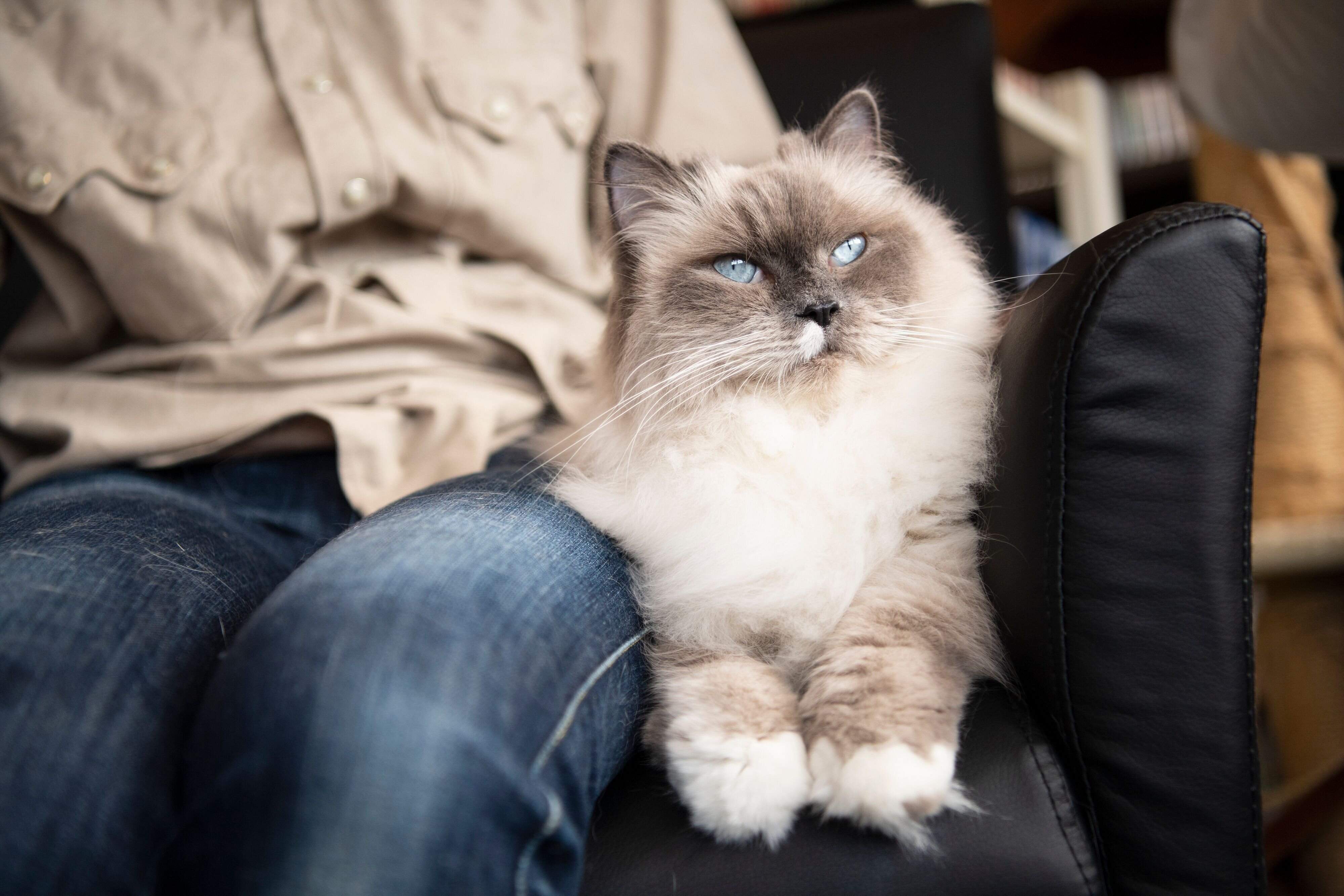 撮影／Akimasa Harada