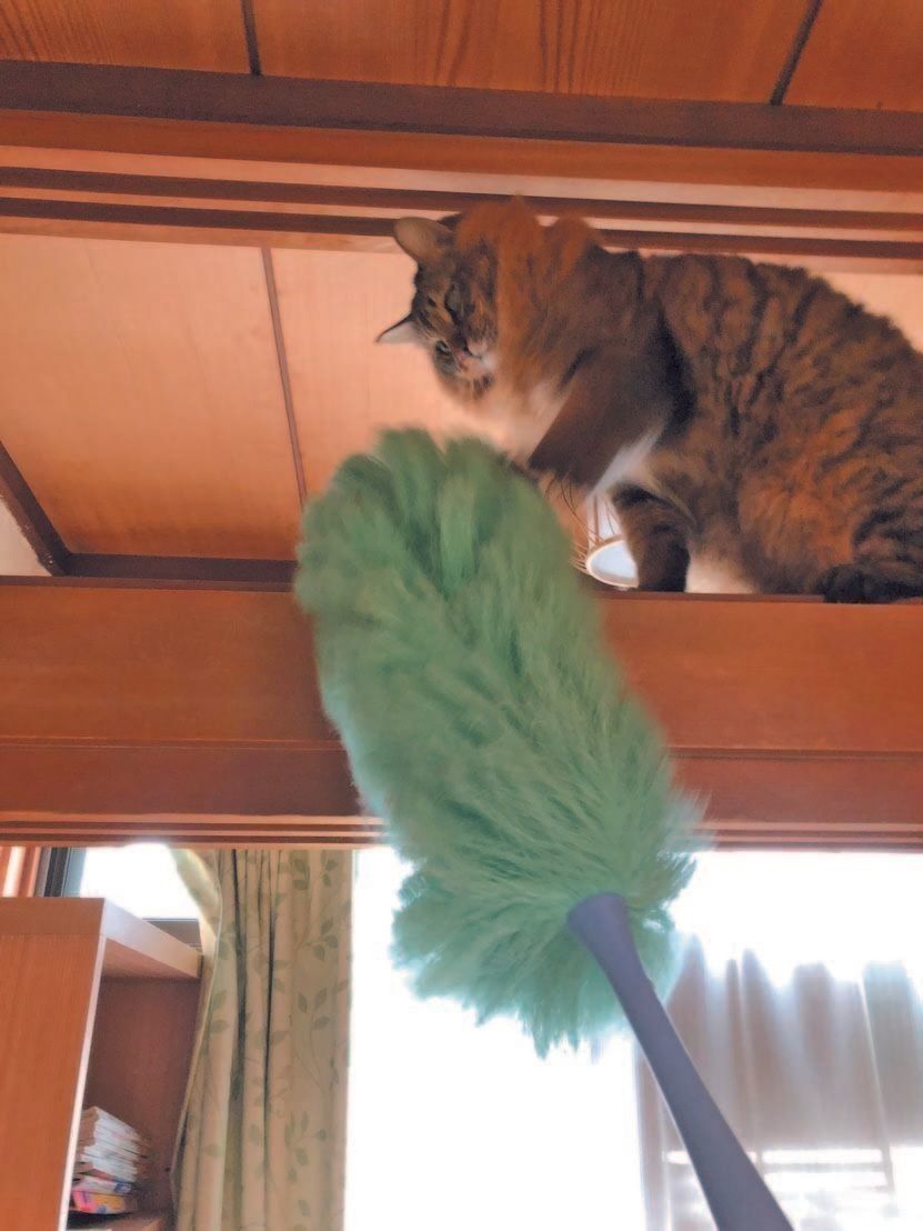 画像／2018年2月号「マンネリ解消しよう！」