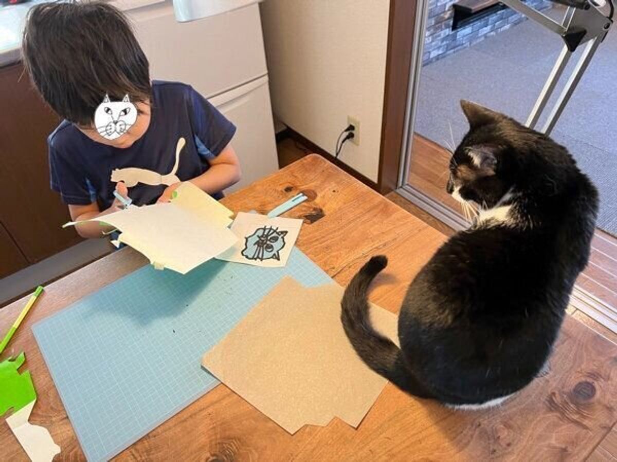 こんな猫と暮らしたい と 小学生が作った切り絵アートが話題に 制作の こだわり に脱帽 ねこのきもちweb Magazine こんな猫と暮らしたい と 小学生が作った切り絵アートが話題に 制作の こだわり に脱帽 ねこのきもちweb Magazine