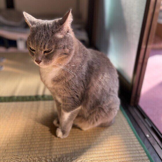 座るトモちゃん（MIX）