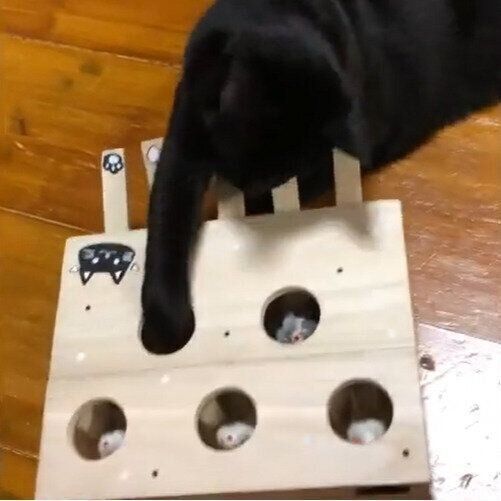 ねずみたたきで遊ぶ猫