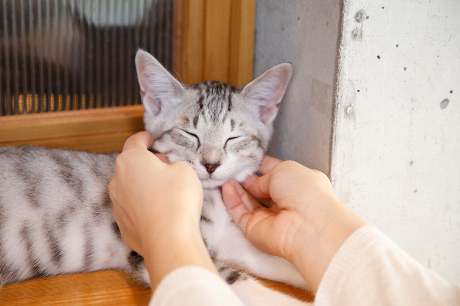 撮影／尾﨑たまき