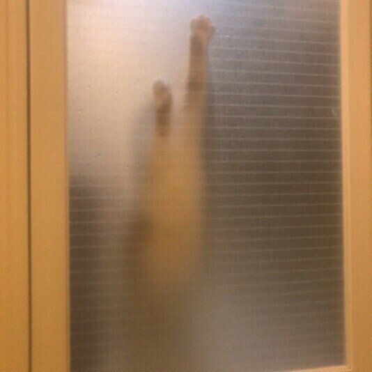 伸び姿で出待ちする茶白猫