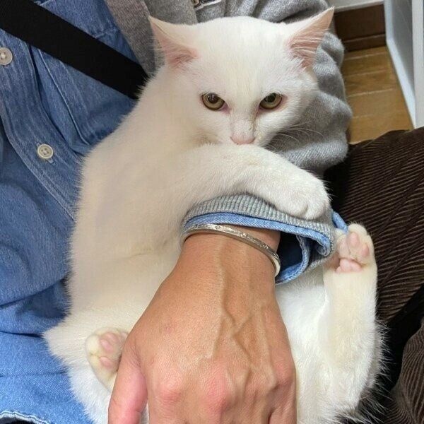 お迎え前のロメオちゃん