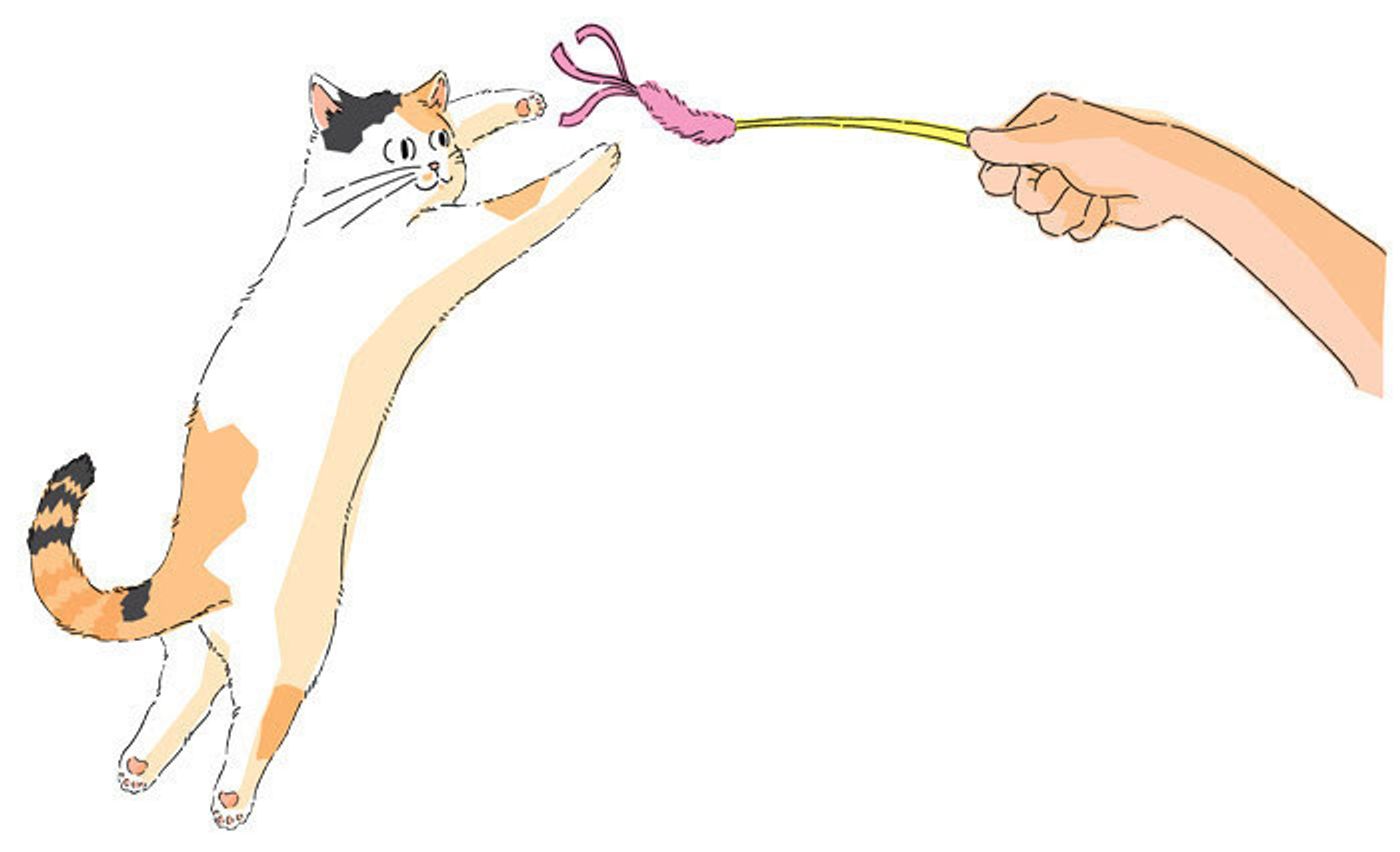 猫アレルギーでも猫と仲良く暮らすための対策方法とは おススメの3つの方法をご紹介します ねこのきもちweb Magazine 猫アレルギーでも猫と仲良く暮らすための対策方法とは おススメの3つの方法をご紹介します ねこのきもちweb Magazine