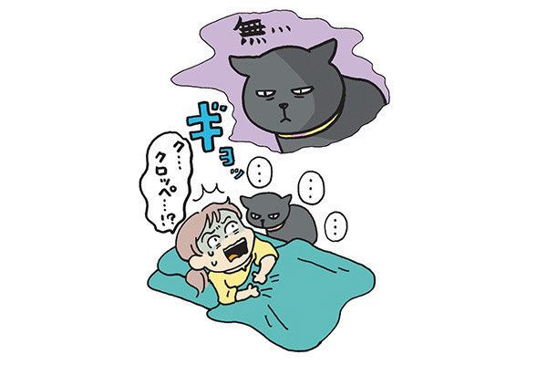 フリーズする猫