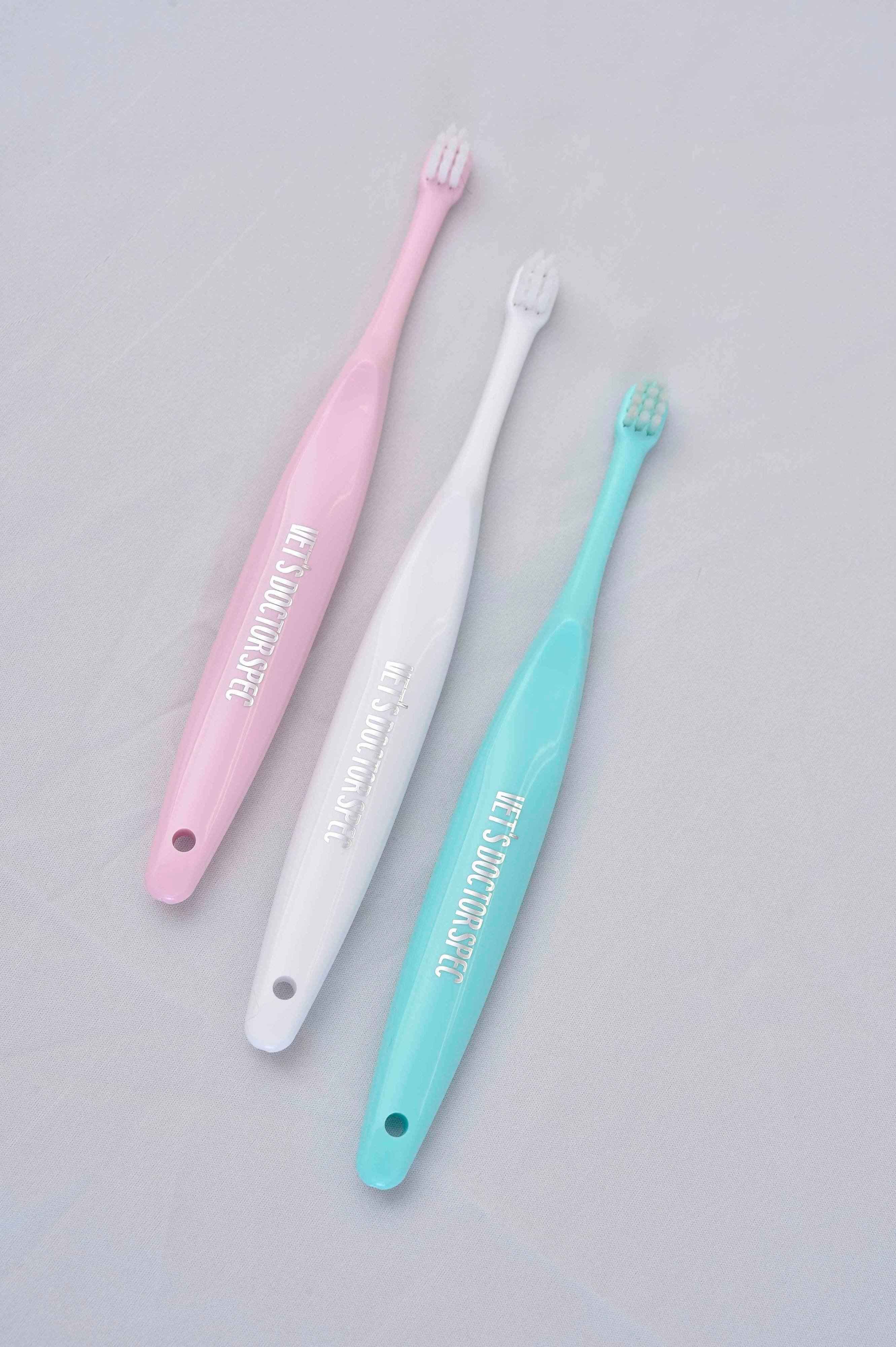 撮影／中川文作