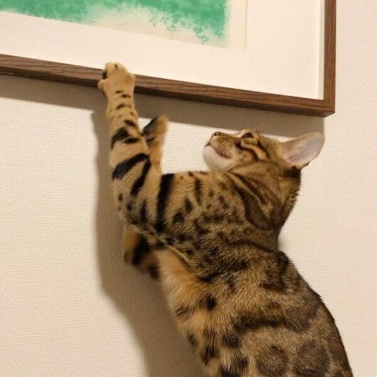 絵画泥棒あらわる 犯行の現場を捉えられてしまった猫 最高すぎる反応 を見せる ねこのきもちweb Magazine 絵画泥棒あらわる 犯行の現場を捉えられてしまった猫 最高すぎる反応 を見せる ねこのきもちweb Magazine