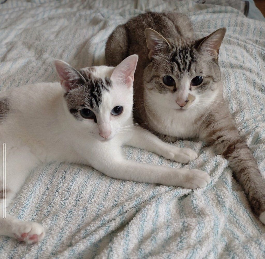 仲良しなにぃなちゃんとリアくん