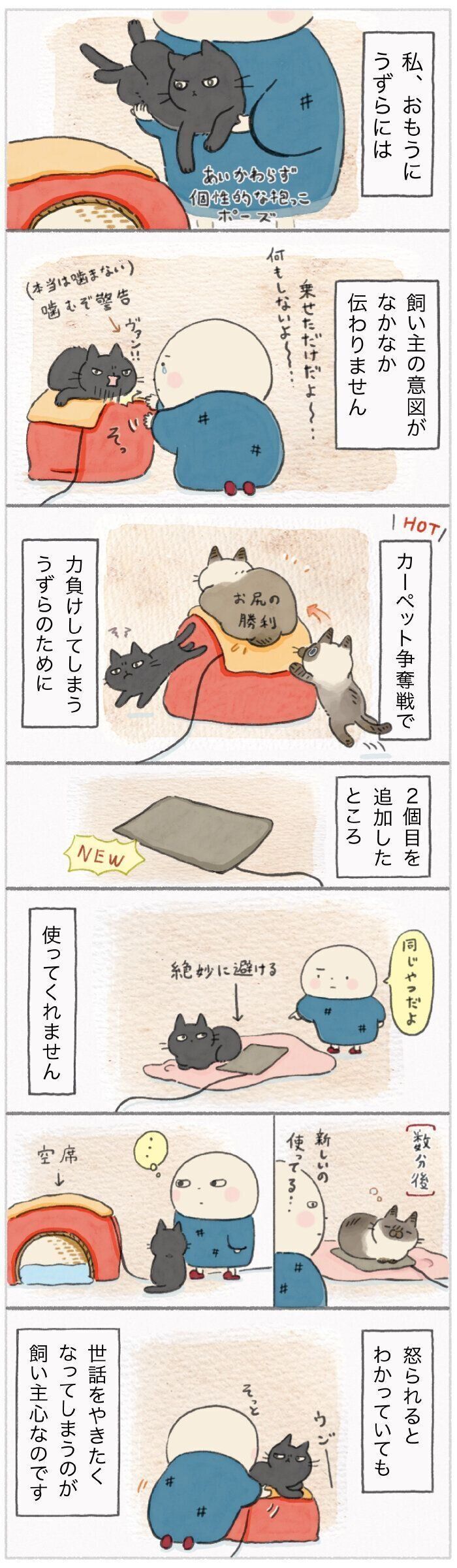 「ねこ連れ草」214話め