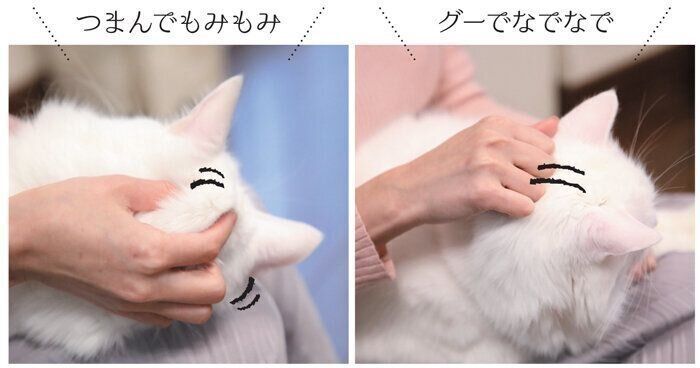 後頭部を軽くもむと頭皮のストレッチ効果が