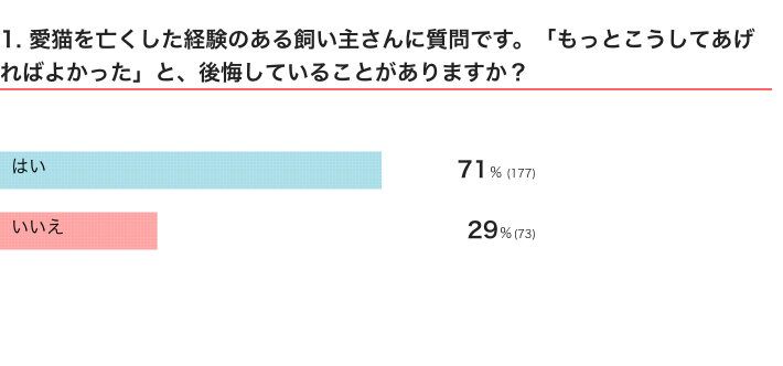 ねこのきもちWEB MAGAZINE『愛猫への後悔に関するアンケートvol.01』