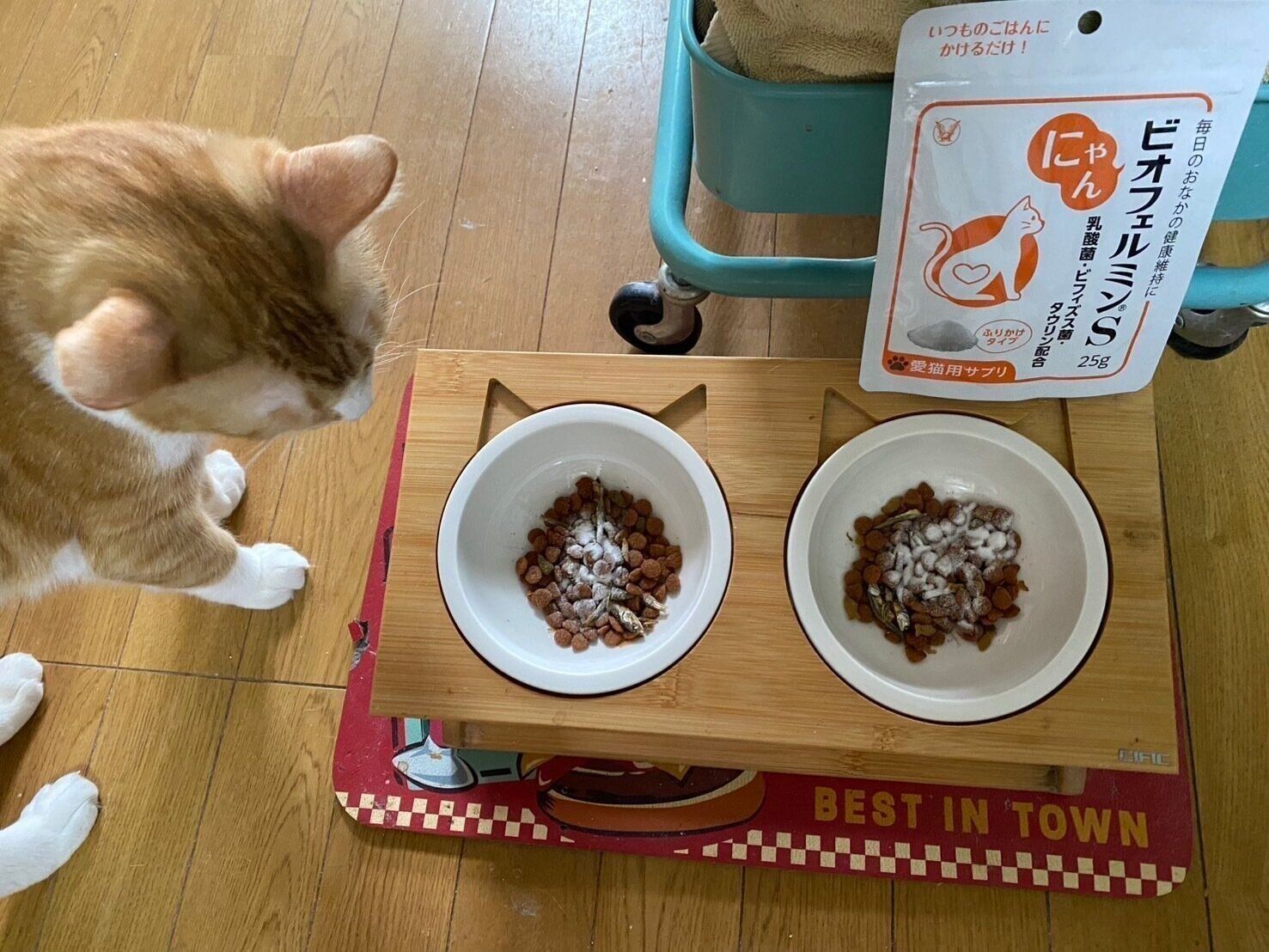 試したのは編集スタッフＹと愛猫のさんぺいとハルオ（ともにオス・４才）。ゴハンに近付いているのは、さんぺい