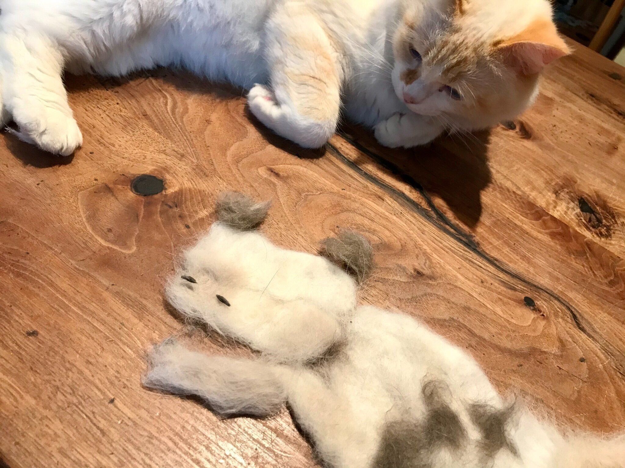 猫の抜け毛で福笑い