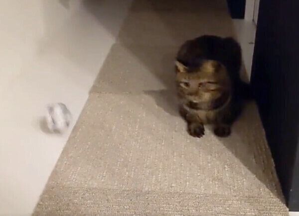 何度もスーパーセーブを決める烈くん