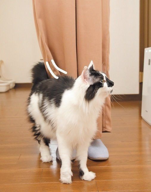 撮影／尾﨑たまき