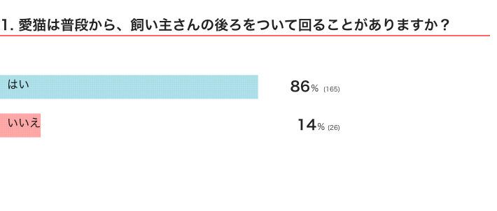 愛猫は普段から、飼い主さんの後ろをついて回ることがある？