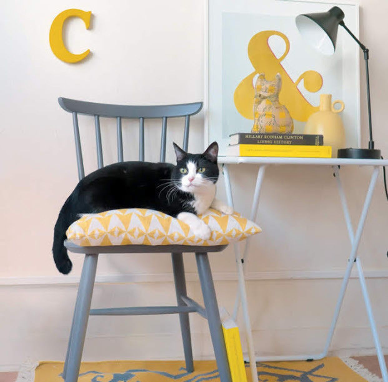 グッズ選びの参考に 愛猫に 似合う色 でさらに魅力を引き出そう ねこのきもちweb Magazine グッズ選びの参考に 愛猫に 似合う色 でさらに魅力を引き出そう ねこのきもちweb Magazine