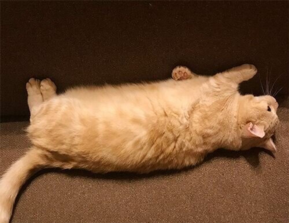 Ayaeo9gid1uiym Ayaeo9gid1uiym