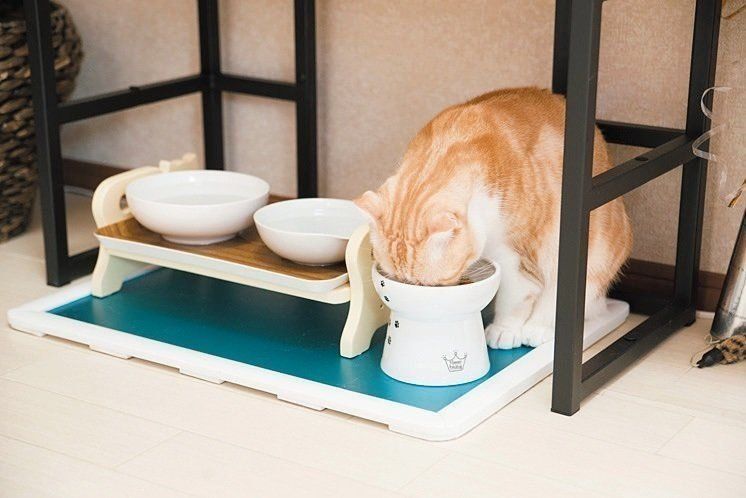 撮影／中川文作