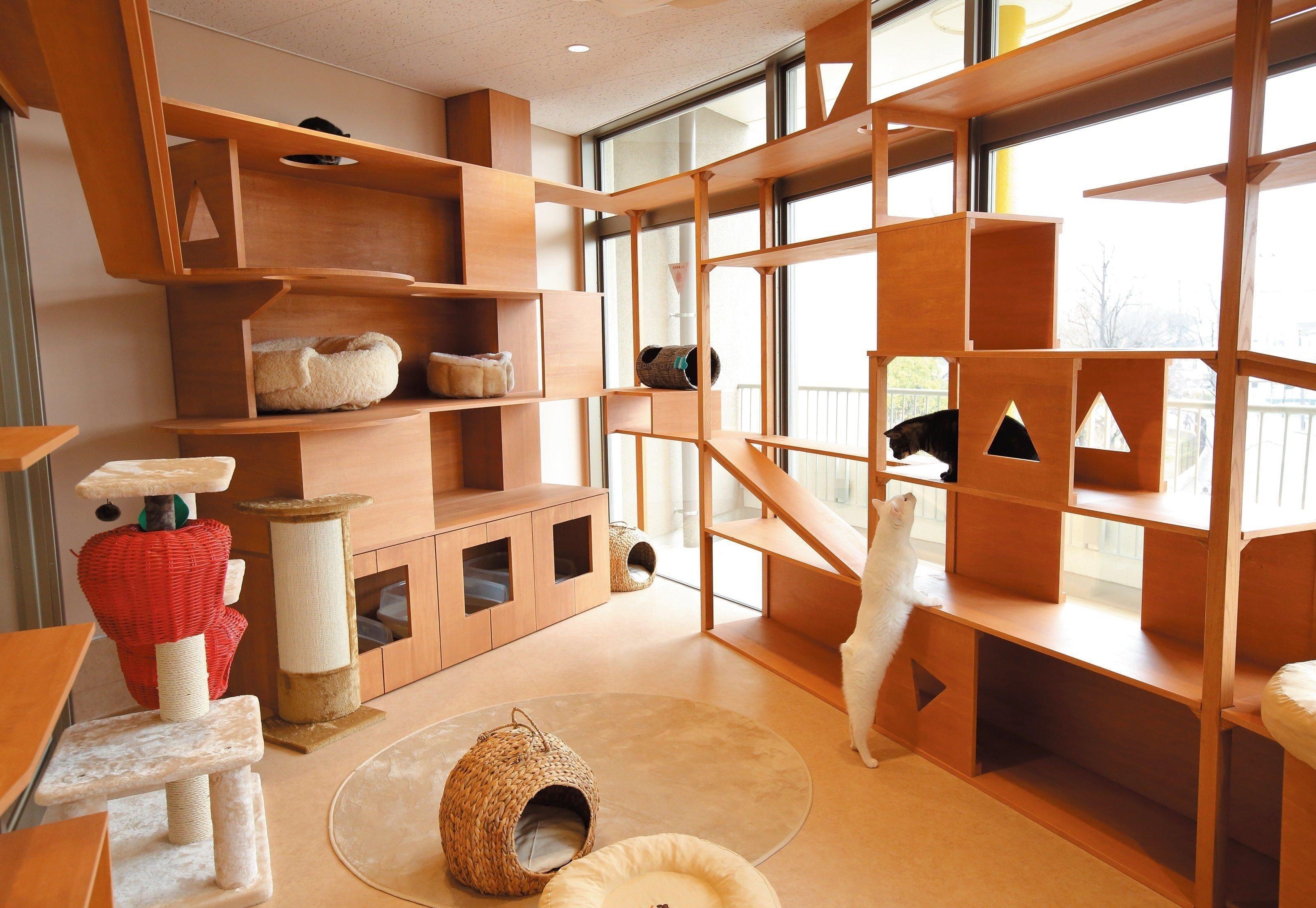 撮影／尾﨑たまき