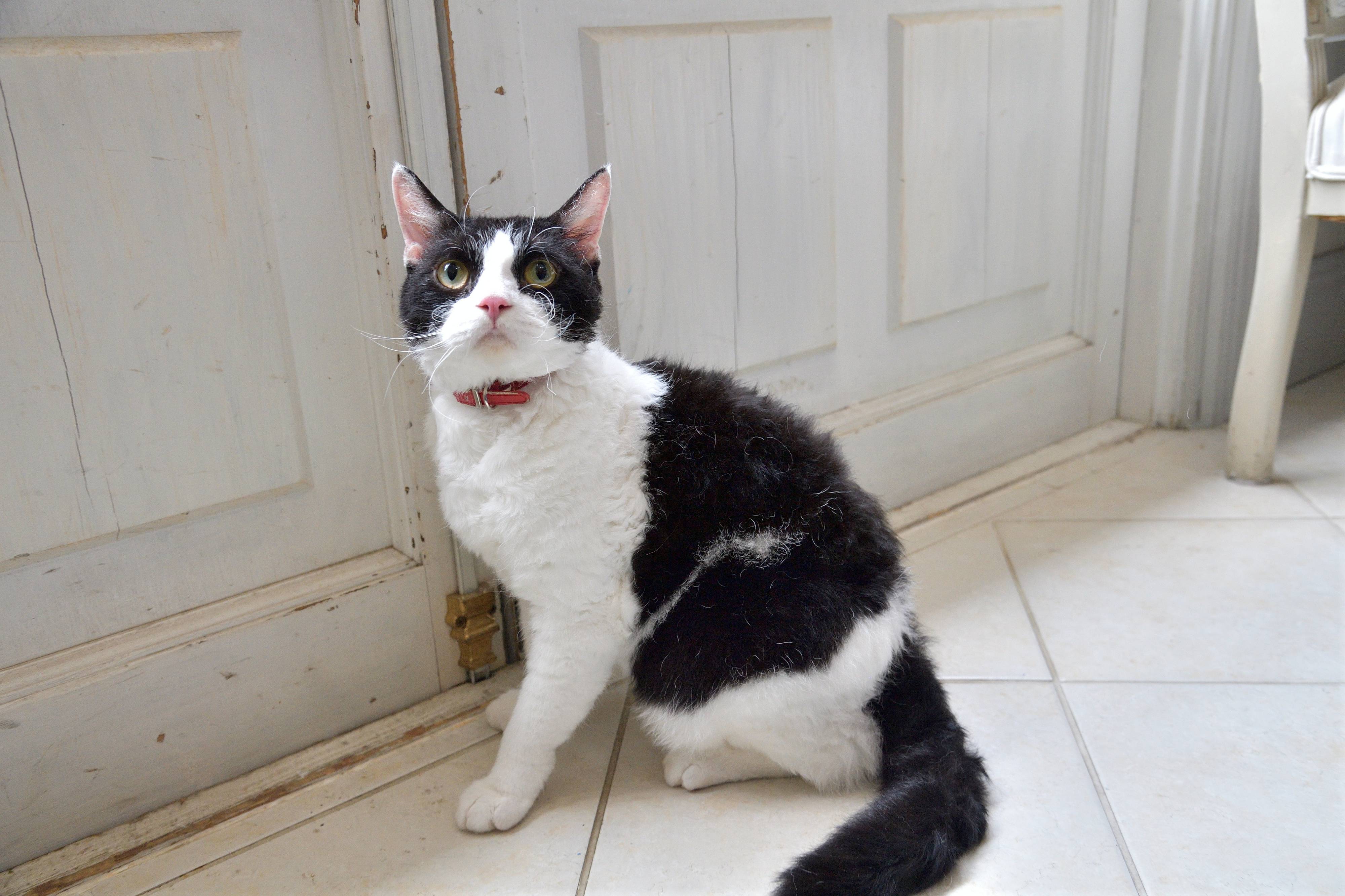 撮影／熊谷仁男