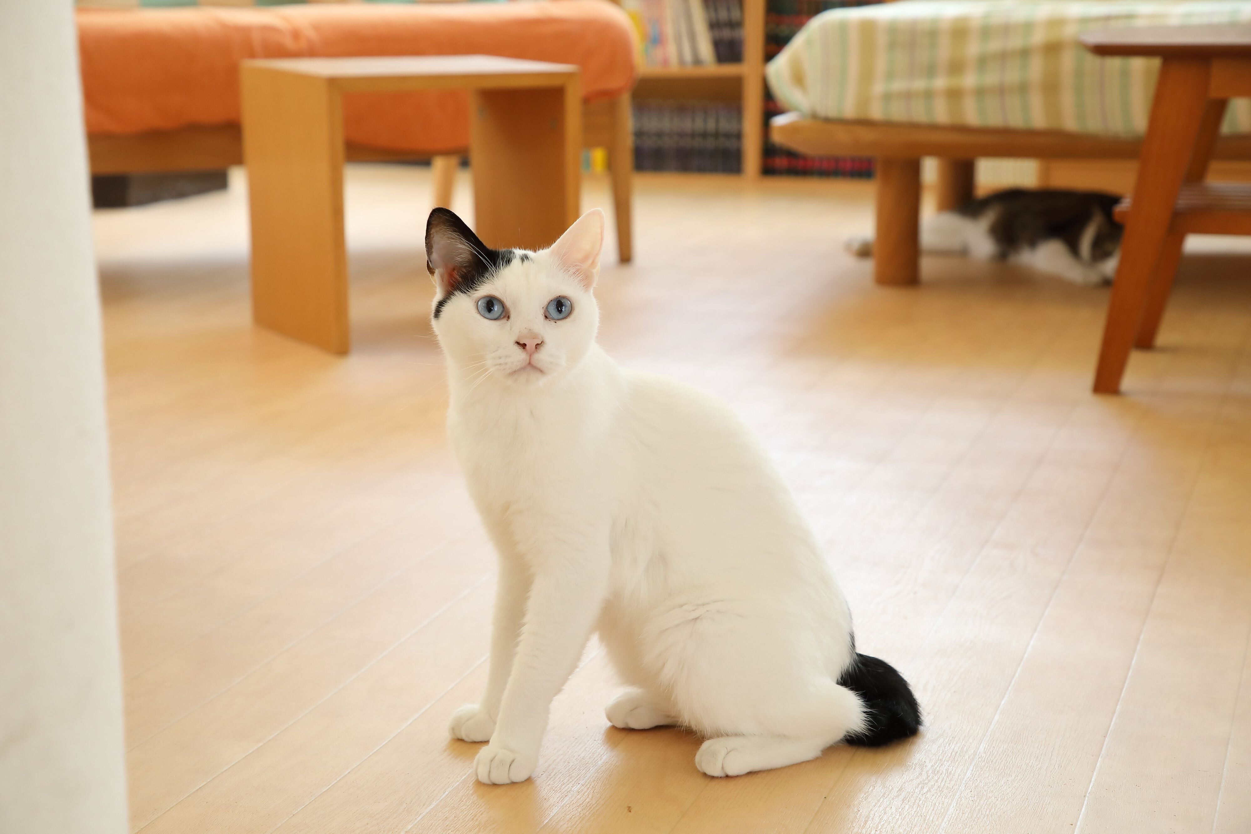 撮影／尾﨑たまき