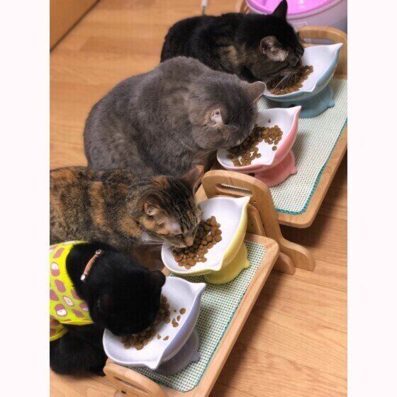 みんなで食べる