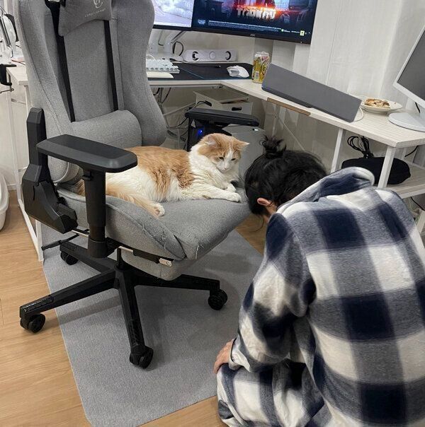 博士くんと旦那さん