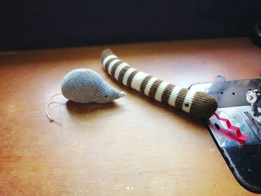 くつした ねずみちゃん へびおくん姉弟