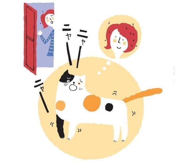 飼い主さんが気になる"おひとり猫"に関するアレコレ