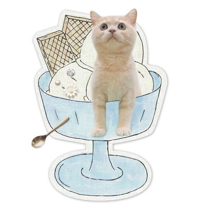 「ねこのきもち」2019年2月号