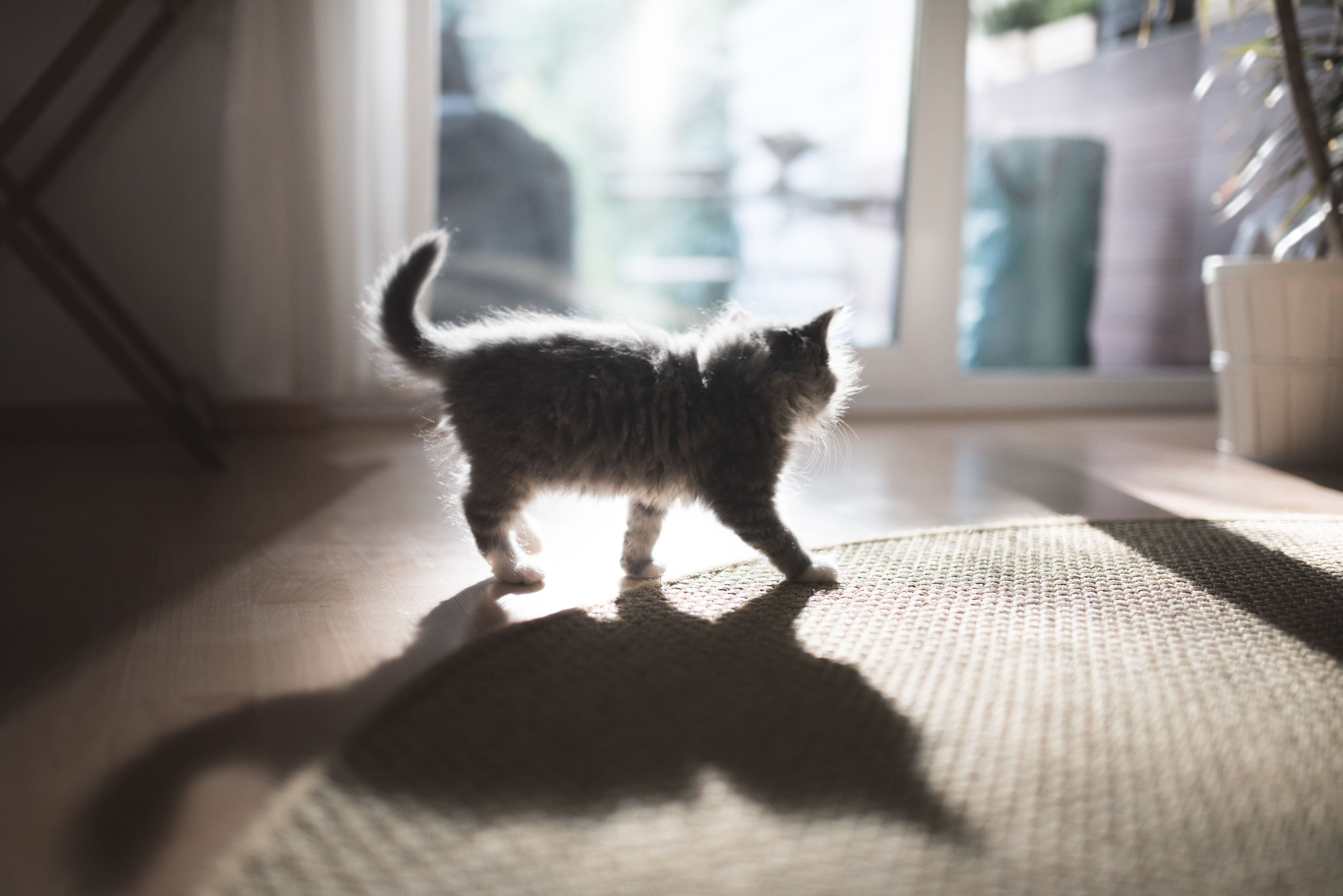 画像／iStock、Getty Images Plus