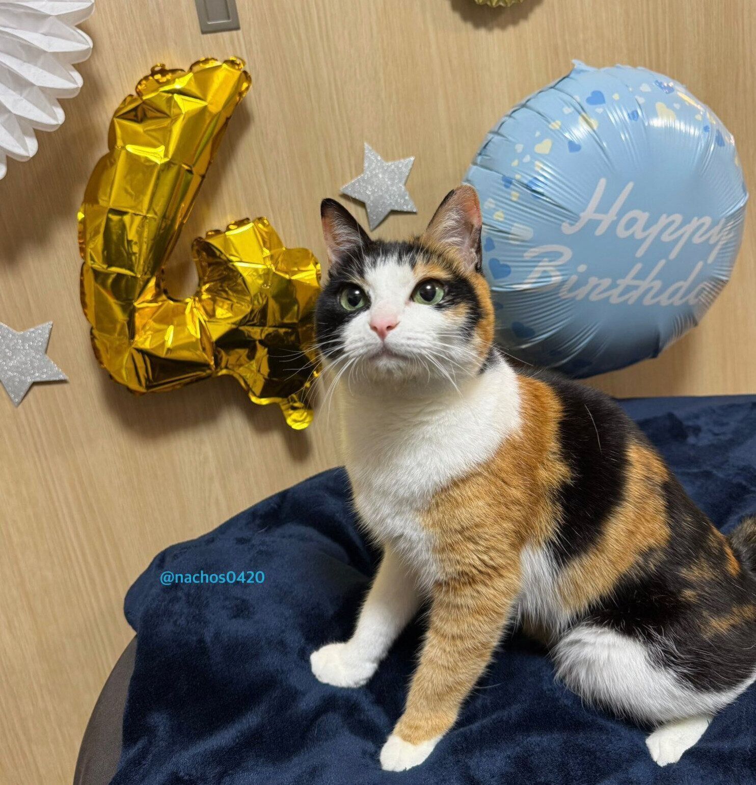 4才になったなっちゃん