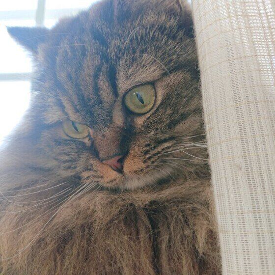 じーっとみつめるノア