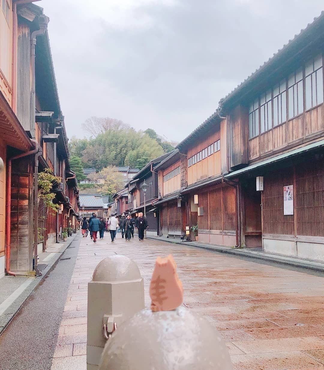 トラの金沢さんぽ日記